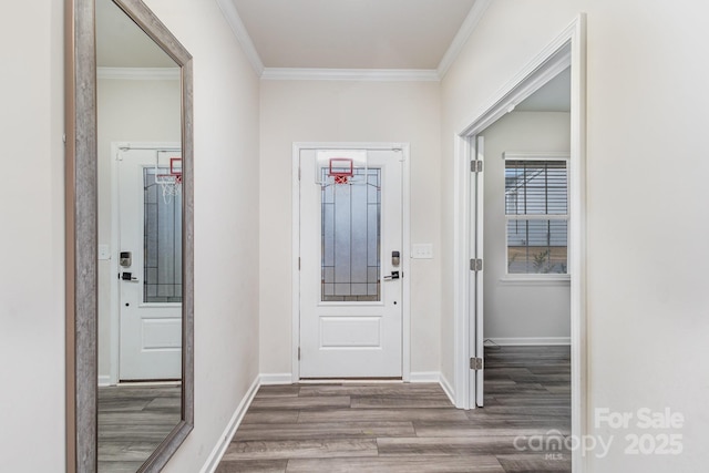 foyer with baseboards, wood finished floors, and crown molding