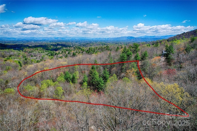 99999 High Top Mountain Dr, Leicester NC, 28748 land for sale