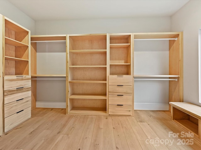 walk in closet with hardwood / wood-style flooring