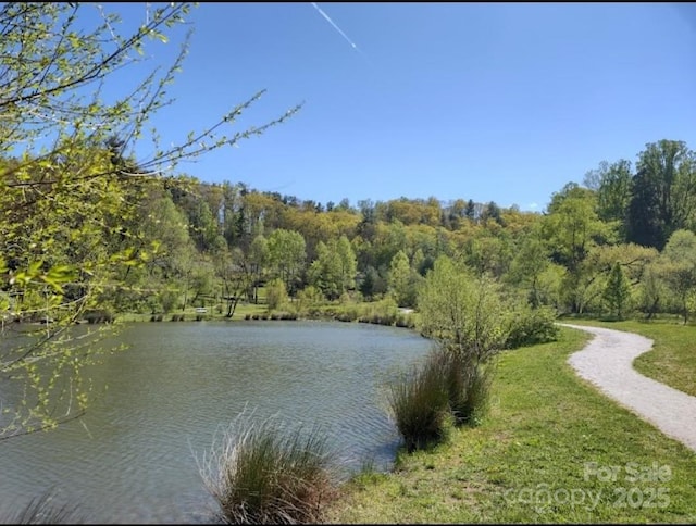 view of water feature featuring a forest view