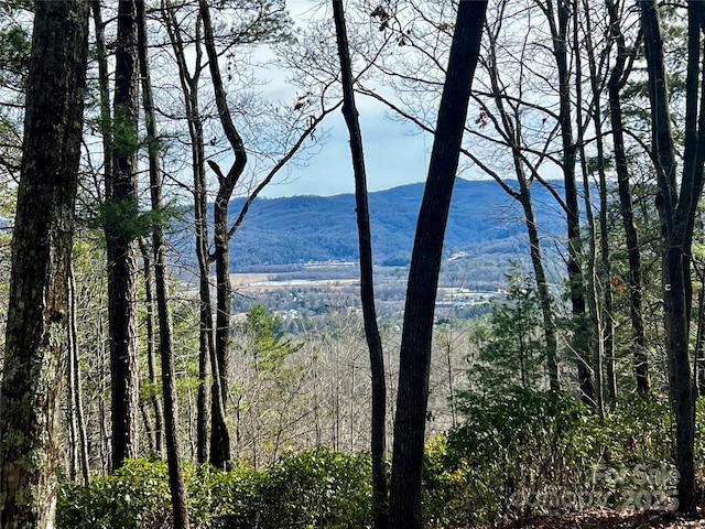 CAMP2 Long Ridge Rd, Brevard NC, 28712 land for sale