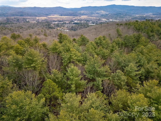 Listing photo 2 for CAMP2 Long Ridge Rd, Brevard NC 28712