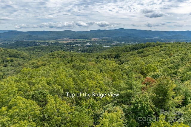 Listing photo 3 for CAMP2 Long Ridge Rd, Brevard NC 28712