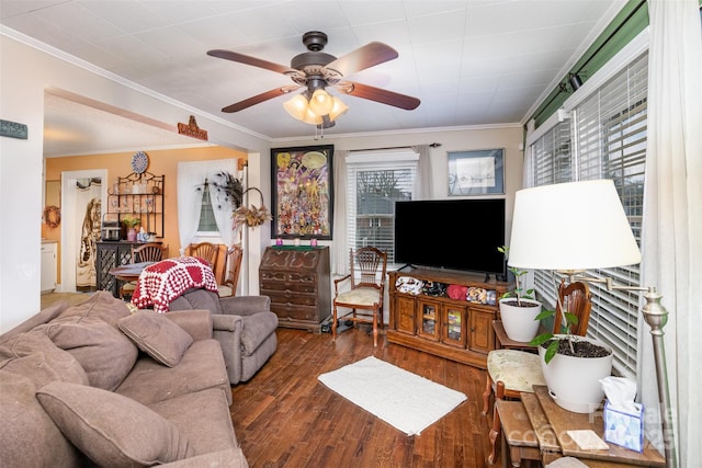 living room with ornamental molding, dark hardwood / wood-style floors, and ceiling fan