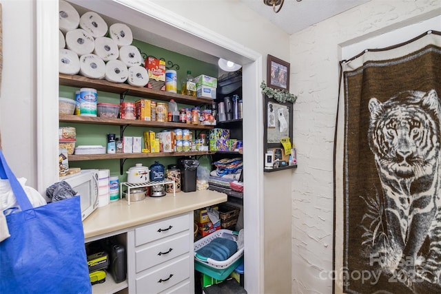 view of pantry