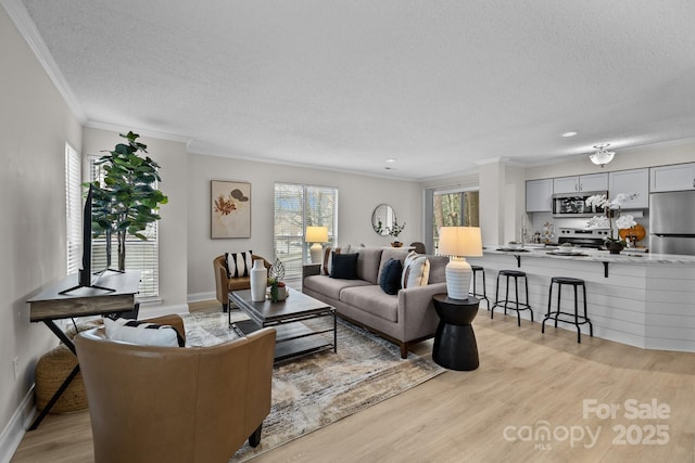 living room with crown molding, light hardwood / wood-style floors, and a textured ceiling