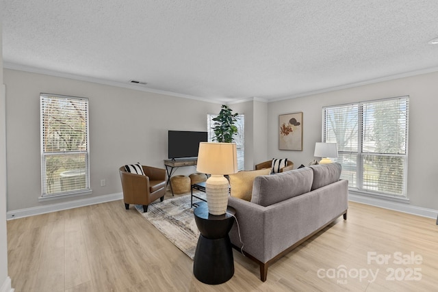 living room featuring light hardwood / wood-style flooring, ornamental molding, and a textured ceiling