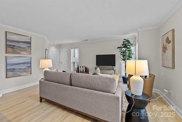 living room featuring crown molding, a textured ceiling, and light wood-type flooring