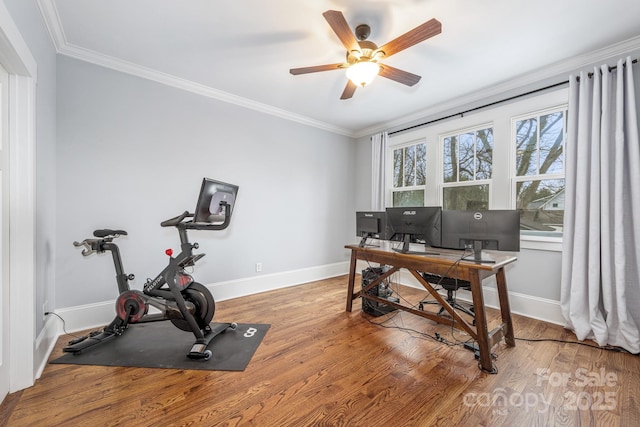 office space featuring wood-type flooring, ornamental molding, and ceiling fan