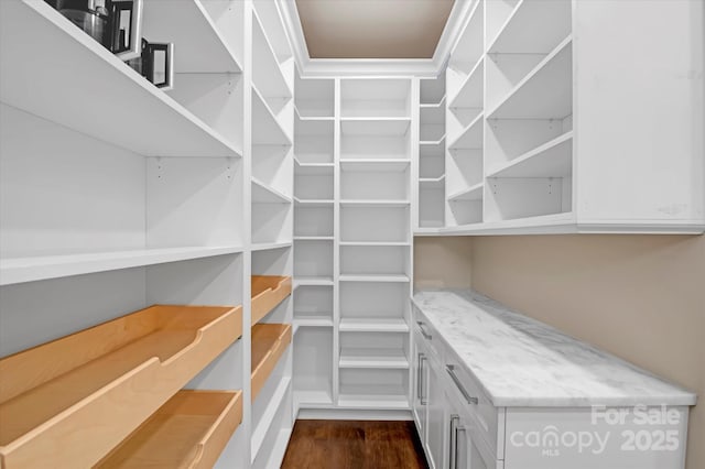409 Running Horse Ln, Waxhaw, NC 28173 - view of pantry