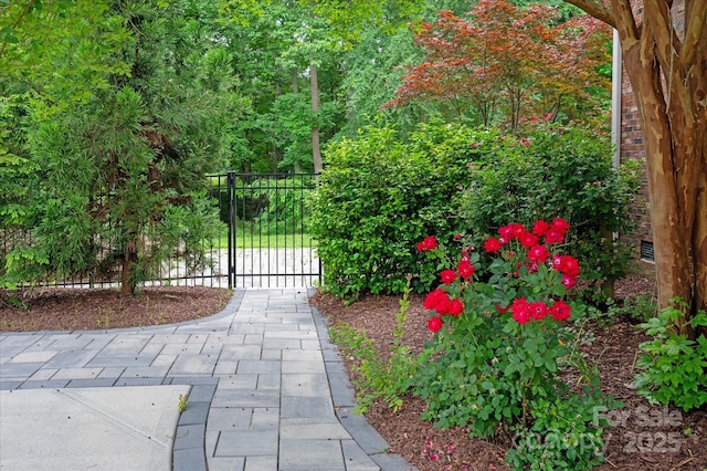 409 Running Horse Ln, Waxhaw, NC 28173 - gate featuring fence