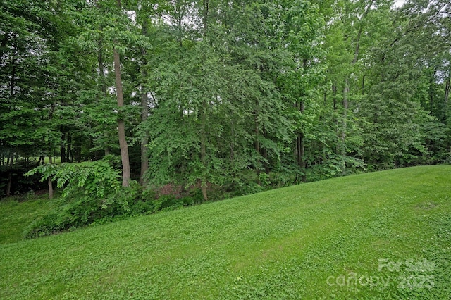 409 Running Horse Ln, Waxhaw, NC 28173 - view of green lawn featuring a view of trees