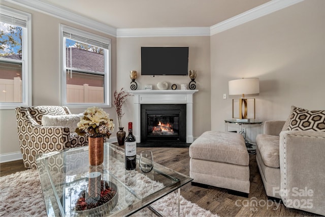 living room featuring dark wood-type flooring and ornamental molding