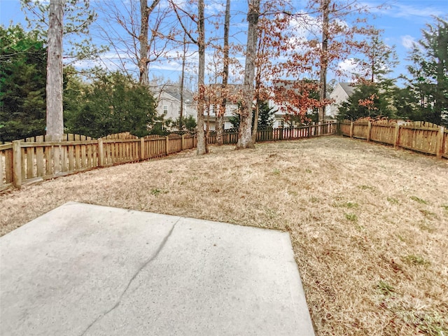 view of yard featuring a patio area and a fenced backyard