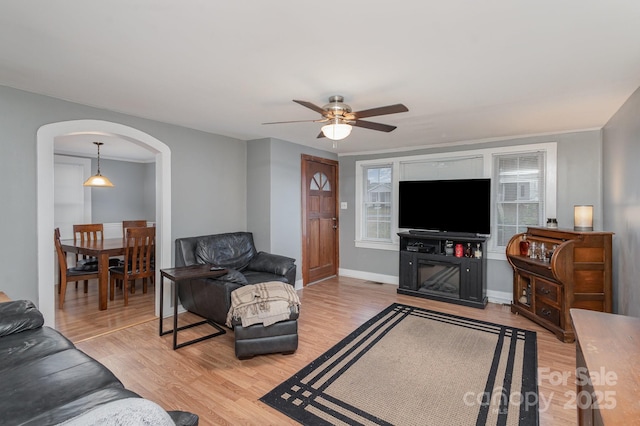 living room with ceiling fan and light hardwood / wood-style floors