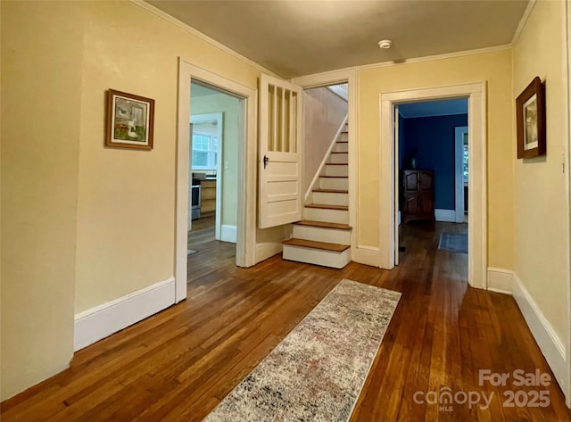 corridor featuring ornamental molding and dark hardwood / wood-style floors