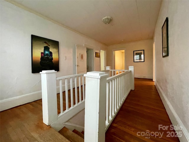 hall featuring hardwood / wood-style flooring and ornamental molding