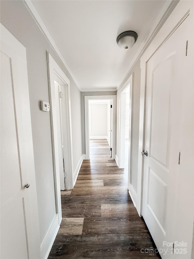 corridor with ornamental molding and dark hardwood / wood-style floors