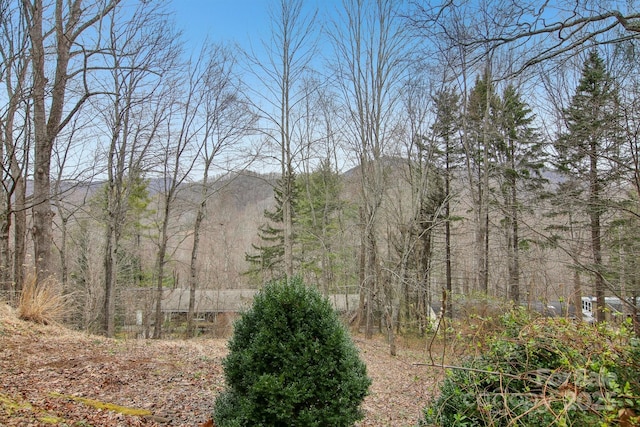 view of local wilderness featuring a view of trees