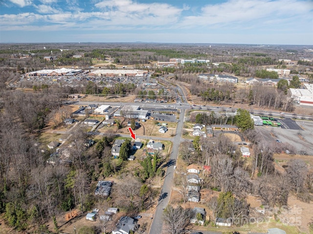 bird's eye view