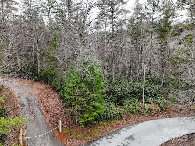 Listing photo 3 for TBD Reserve Dr Unit 97, Burnsville NC 28714