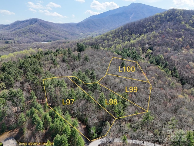TBD Reserve Dr Unit 97, Burnsville, NC 28714