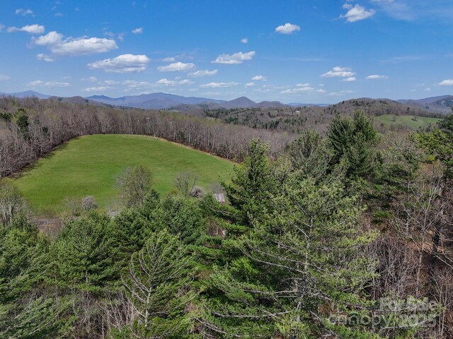 TBD Reserve Dr Unit 97, Burnsville, NC 28714
