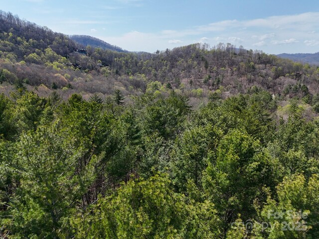 TBD Reserve Dr Unit 97, Burnsville, NC 28714
