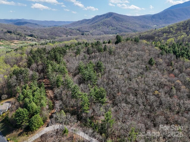 TBD Reserve Dr Unit 97, Burnsville, NC 28714