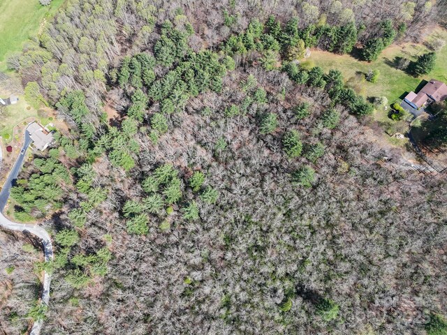 TBD Reserve Dr Unit 97, Burnsville, NC 28714