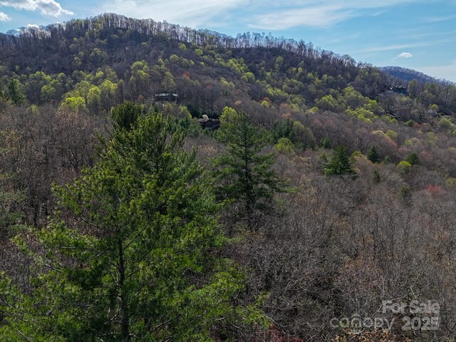 TBD Reserve Dr Unit 97, Burnsville, NC 28714