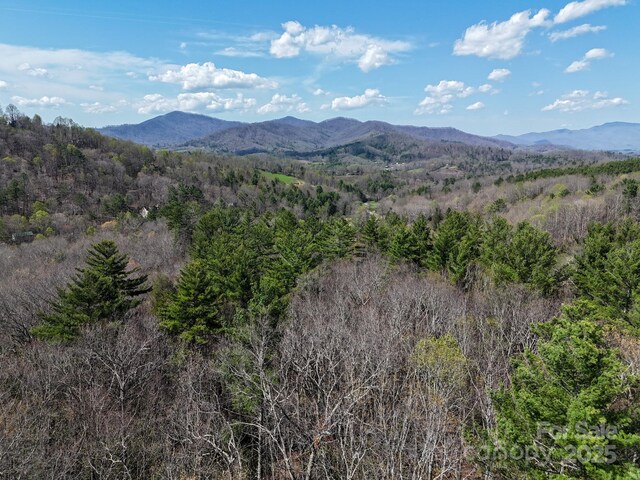 TBD Reserve Dr Unit 97, Burnsville, NC 28714