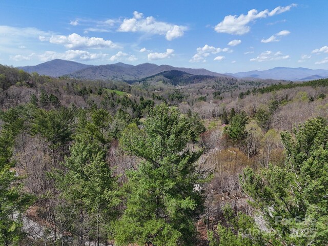 TBD Reserve Dr Unit 97, Burnsville, NC 28714