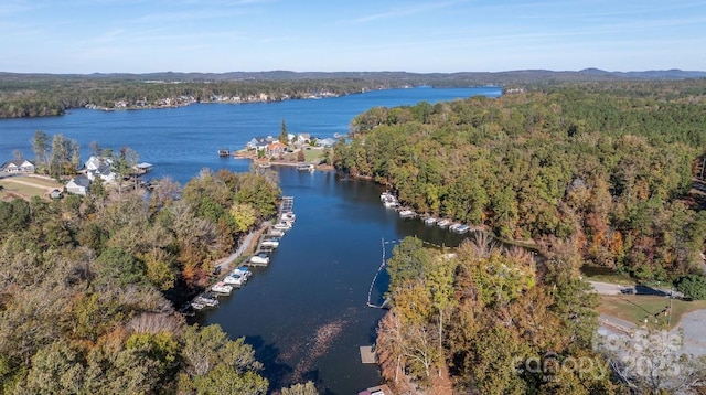 152 Muskhogean Way, Mount Gilead, NC 27306 - aerial view of property's location with a nearby body of water