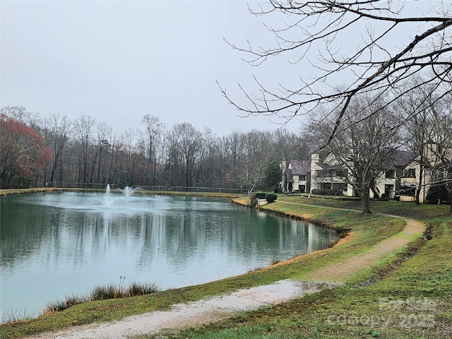 view of water feature