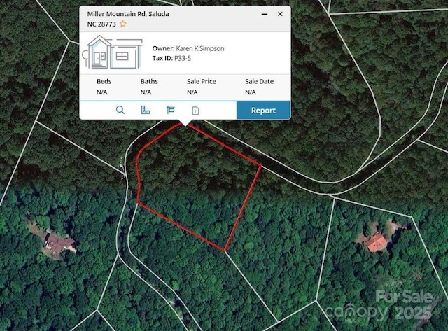 0000TBD Miller Mountain Rd, Saluda NC, 28773 land for sale