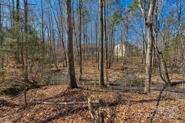 view of nature with a wooded view