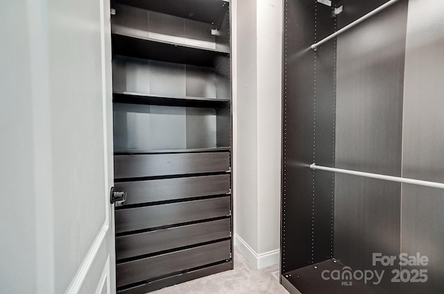 walk in closet featuring light colored carpet