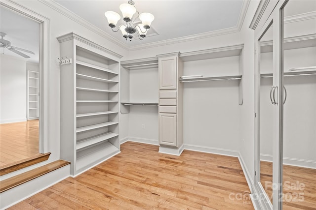 walk in closet featuring ceiling fan with notable chandelier and light hardwood / wood-style flooring