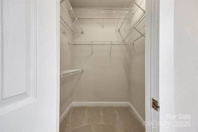 spacious closet with carpet flooring