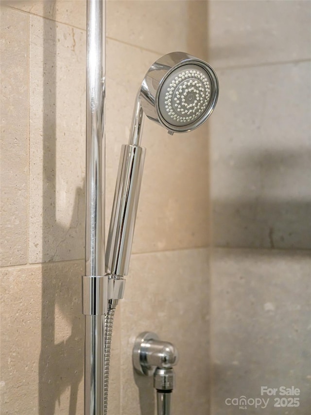45 Asheland Ave Unit 302, Asheville, NC 28801 - interior details with walk in shower