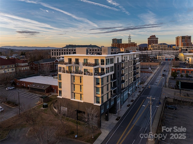 45 Asheland Ave Unit 302, Asheville, NC 28801 - view of city