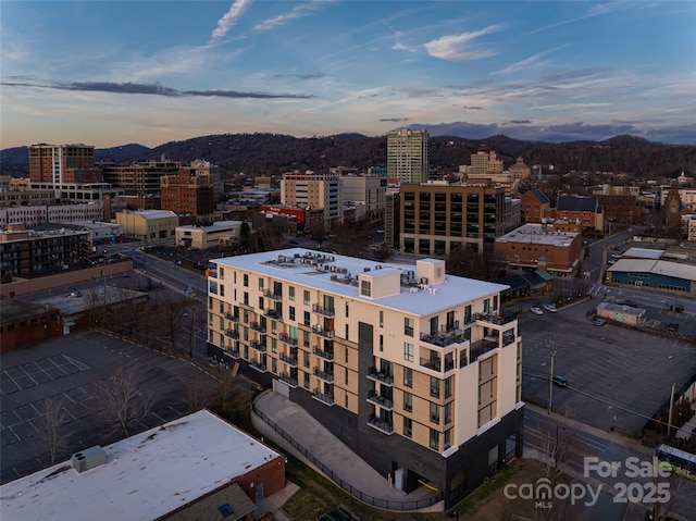 45 Asheland Ave Unit 302, Asheville, NC 28801 - property's view of city