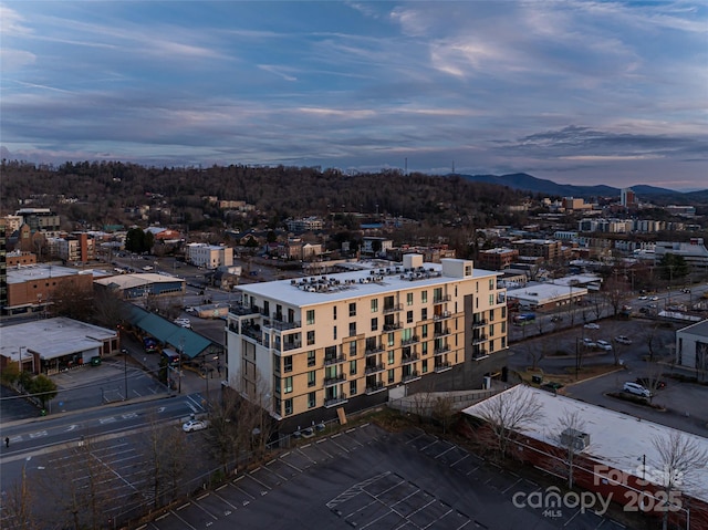 45 Asheland Ave Unit 302, Asheville, NC 28801 - view of city