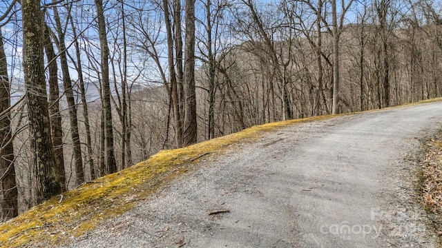 TBD Live Oak Loop Unit 28, Waynesville NC, 28785 land for sale