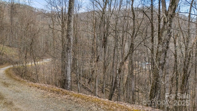 TBD Wolverine Ct Unit 40, Waynesville NC, 28785 land for sale