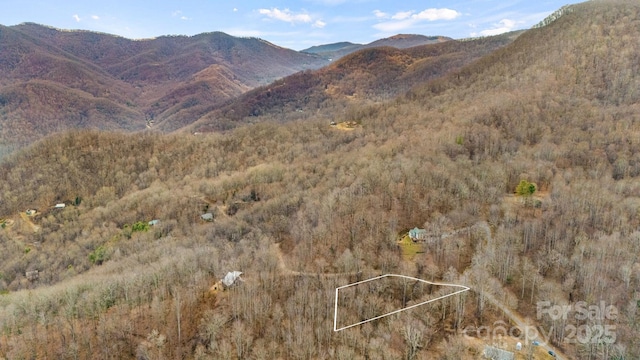 Listing photo 3 for TBD Wolverine Ct Unit 40, Waynesville NC 28785