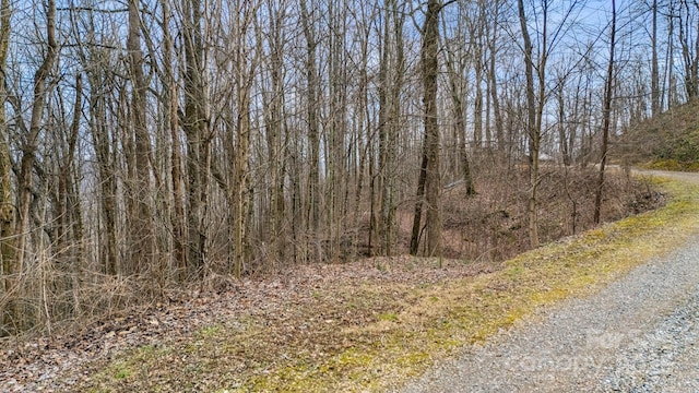 TBD Wolverine Ct Unit 42, Waynesville NC, 28785 land for sale