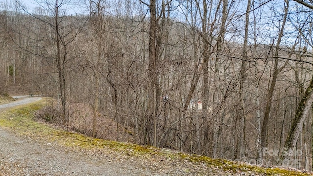 Listing photo 3 for TBD Wolverine Ct Unit 42, Waynesville NC 28785