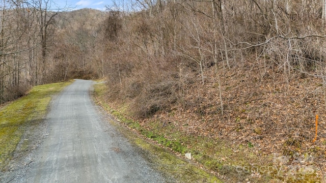 TBD Live Oak Loop Unit 64, Waynesville NC, 28785 land for sale